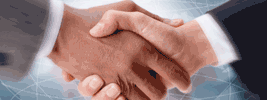 Our expanding business domains