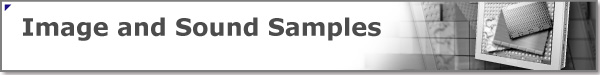 Image and Sound Samples