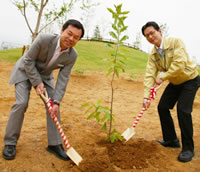 Tree-planting project